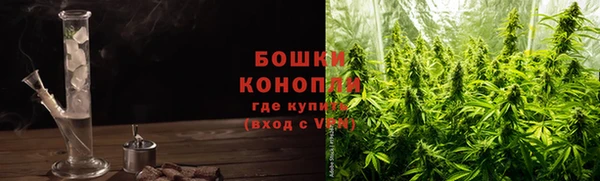 молекула духа Заволжье