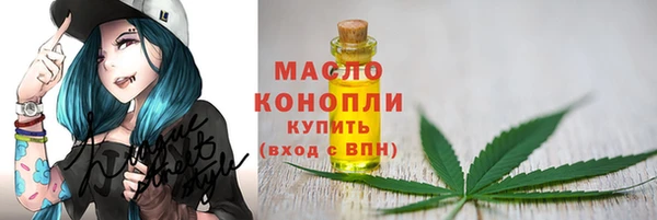 прущие крисы Ельня