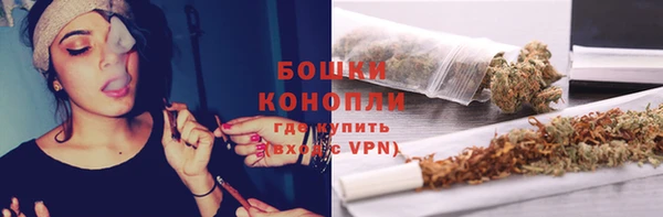 spice Елабуга