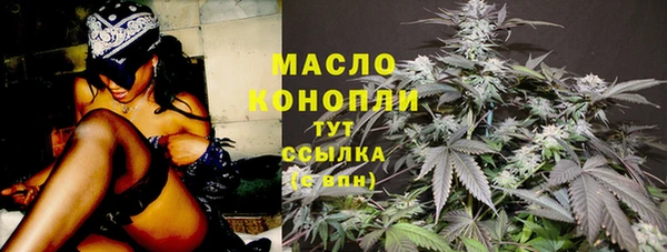 прущие крисы Ельня