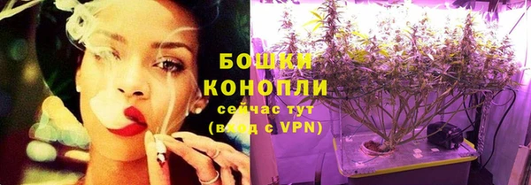 прущие крисы Ельня