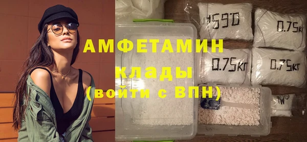 прущие крисы Ельня