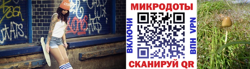 Купить  Ивдель  Псилоцибиновые грибы GOLDEN TEACHER 